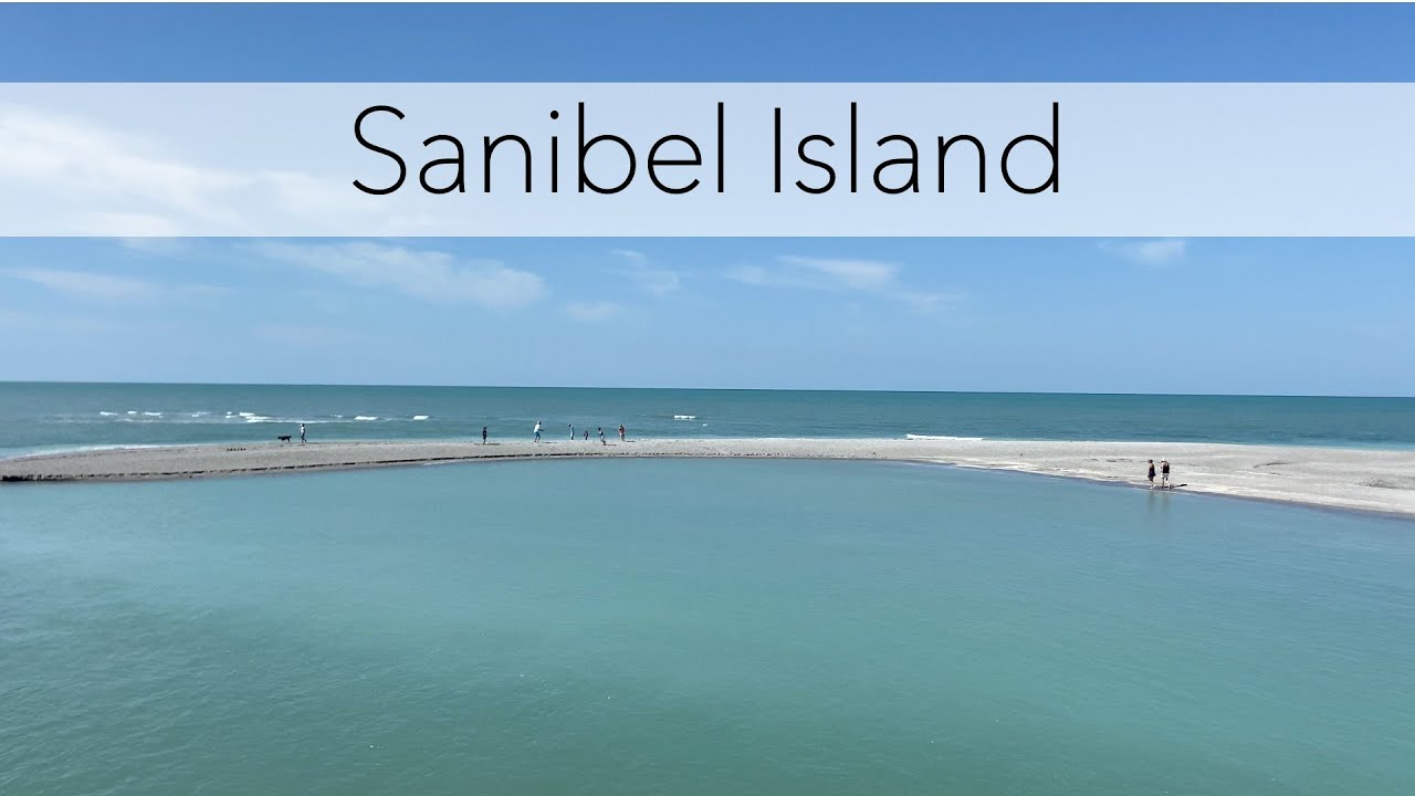 Florida Sea Shell Hunting. Virtual beach walk on Sanibel and Captiva looking for beach treasures.