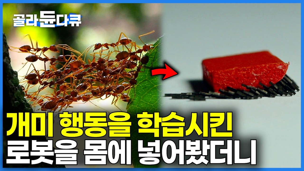 보고도 안 믿기는 요즘 로봇 기술 근황｜개미 군단의 움직임을 분석해 마이크로 봇에 학습 시켜 봤더니｜다큐프라임｜#골라듄다큐