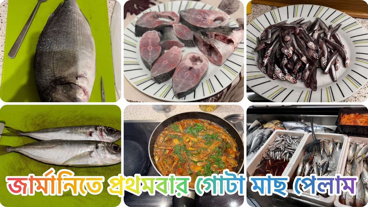 কত্তা গিন্নি চা পকড়া খেয়ে বেরিয়ে পড়লাম গোটা মাছের সন্ধানে ।এত্তরকমের মাছ এখানে দেখে আমি অবাক ।