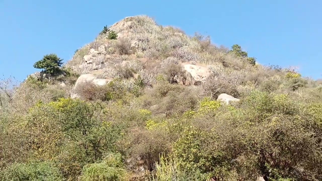 તારંગા હિલ્સ ગુજરાતનું અજીતનાથ મંદિર જોવા ફરવા માટે આવવા જેવા નાના મોટા ડુંગરા |Taranga hill Mandir 