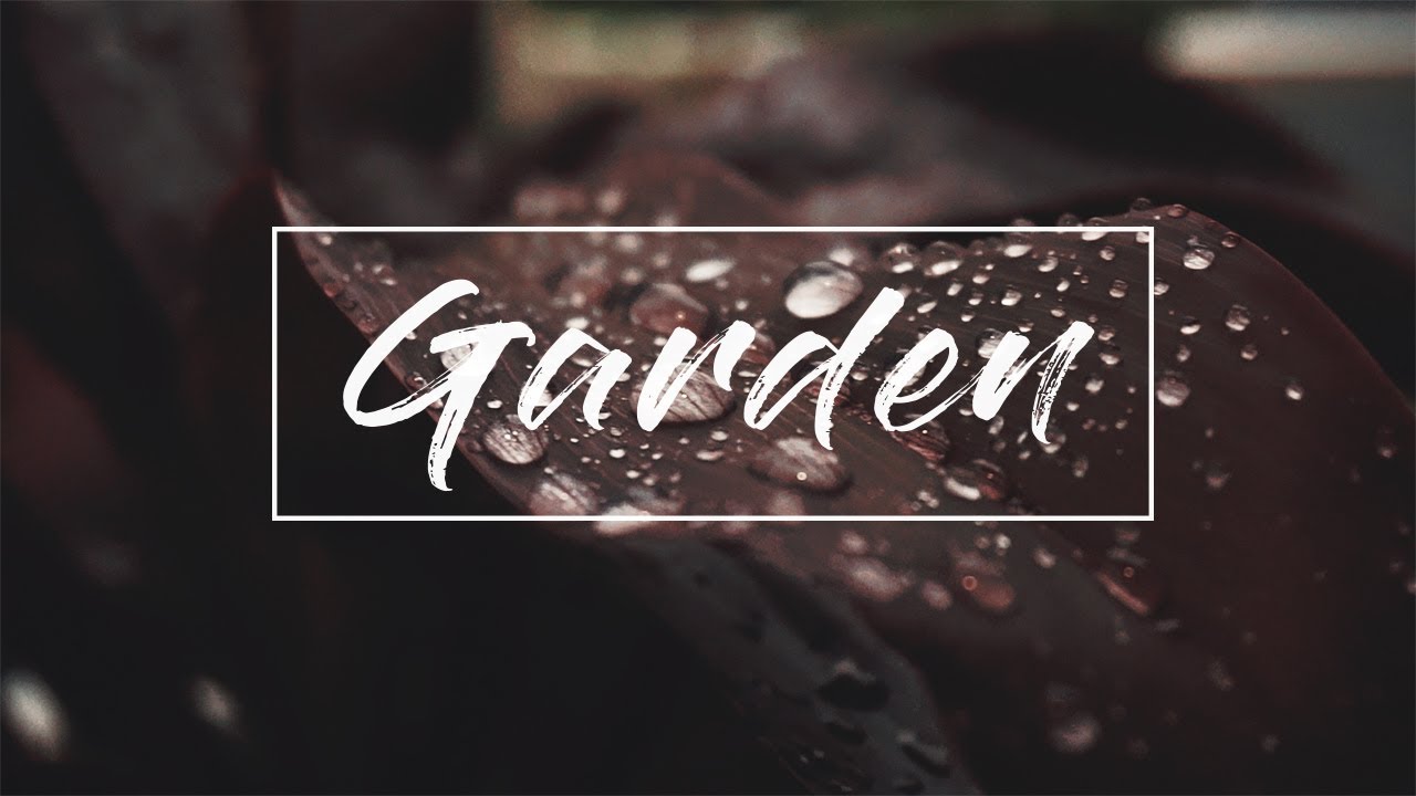Cinematic Garden B Roll in Quarantine | Soothing Emotional Video | HD 1080p