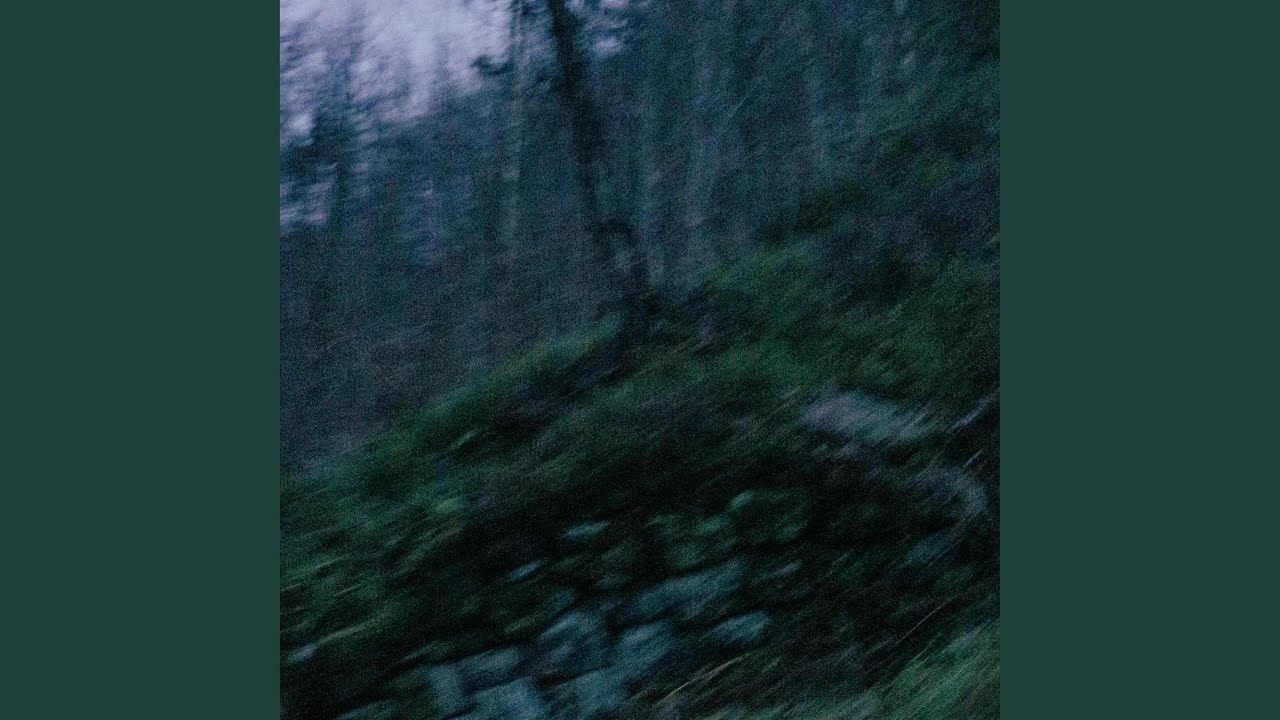 i tried to listen (feat. 7ventus)