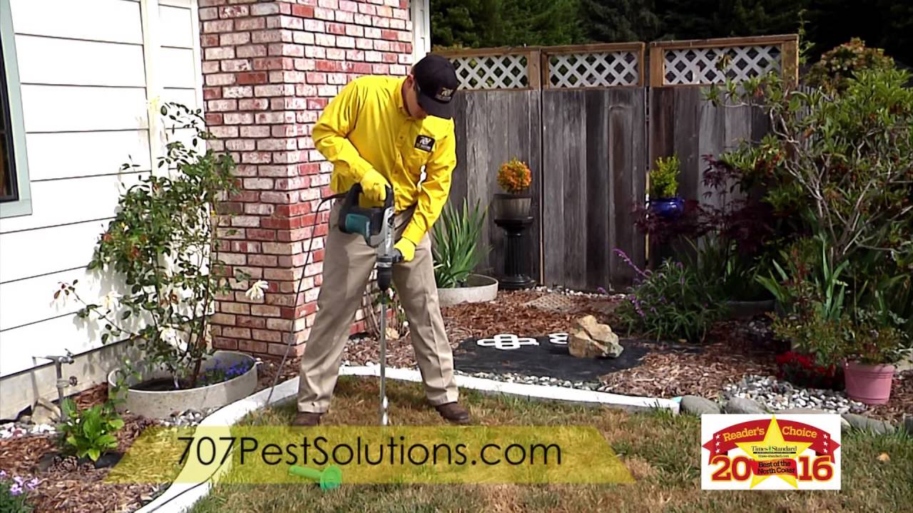 707 Pes tSolutions Pest Control Revised