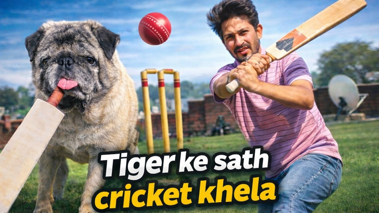 Tiger Ke Sath Cricket Khela 