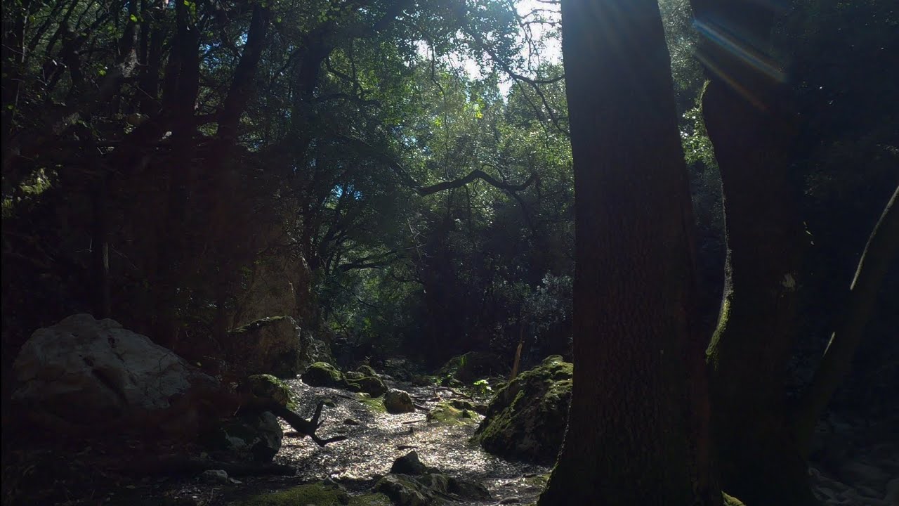 Orient y Salt des Freu - Mallorca - (sonido ambiente, sin m&uacute;sica) 4K HD