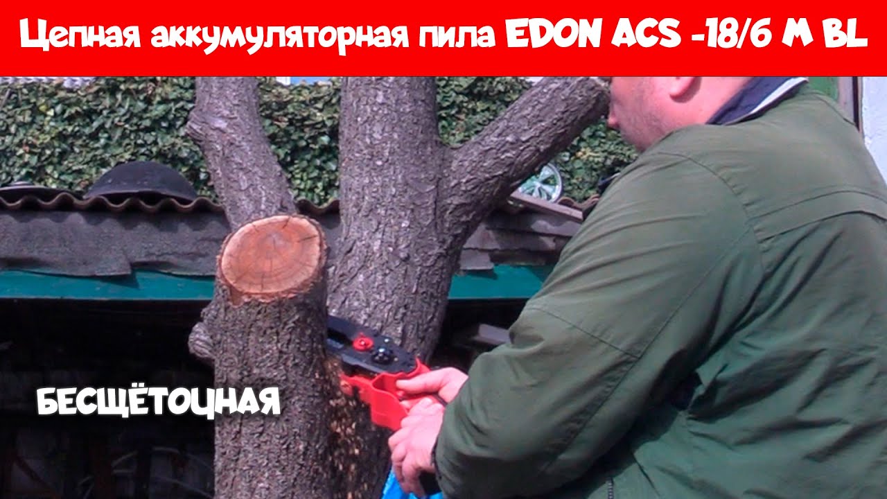 Обзор аккумуляторной цепной пилы EDON ACS-18/6 M BL – мощь с маленьким аккумулятором.