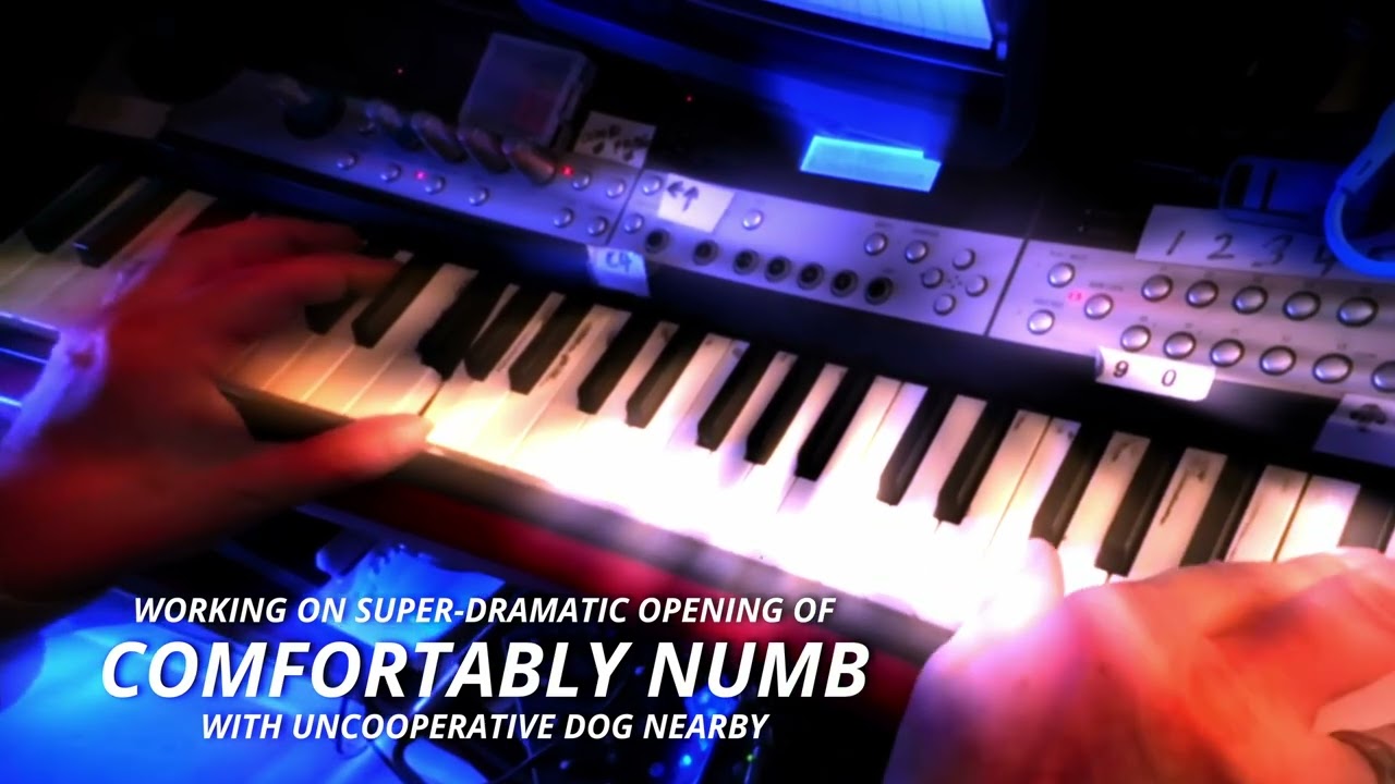 GARY KEYS TEST COMFORTABLY NUMB WITH DOG HELPING