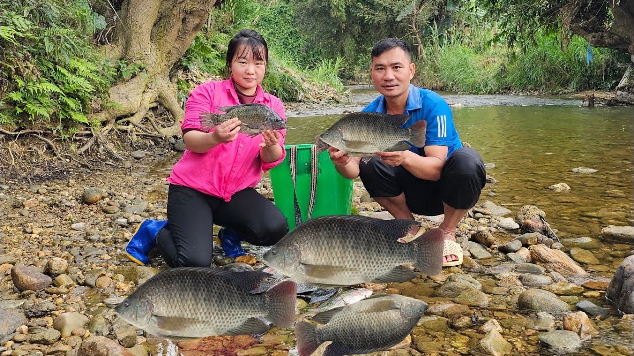 Duong and Linh used nets together to catch a huge haul of fish, earning extra income.