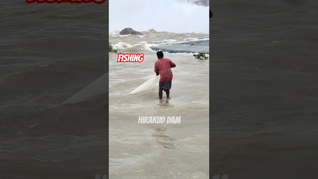 Fishing at Hirakud Dam Mahanadi River #fishing #fish #hirakuddam