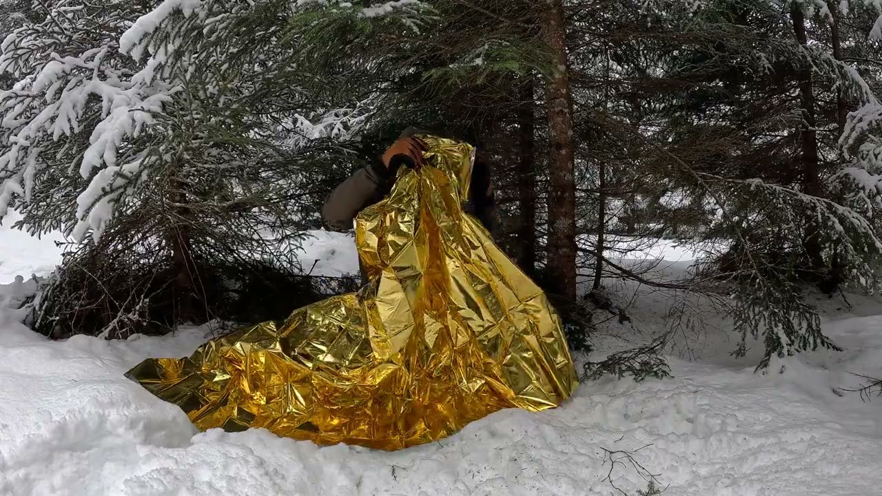 Winter Shelter in Subnivean Space / First Aid Blanket Under Pine Trees