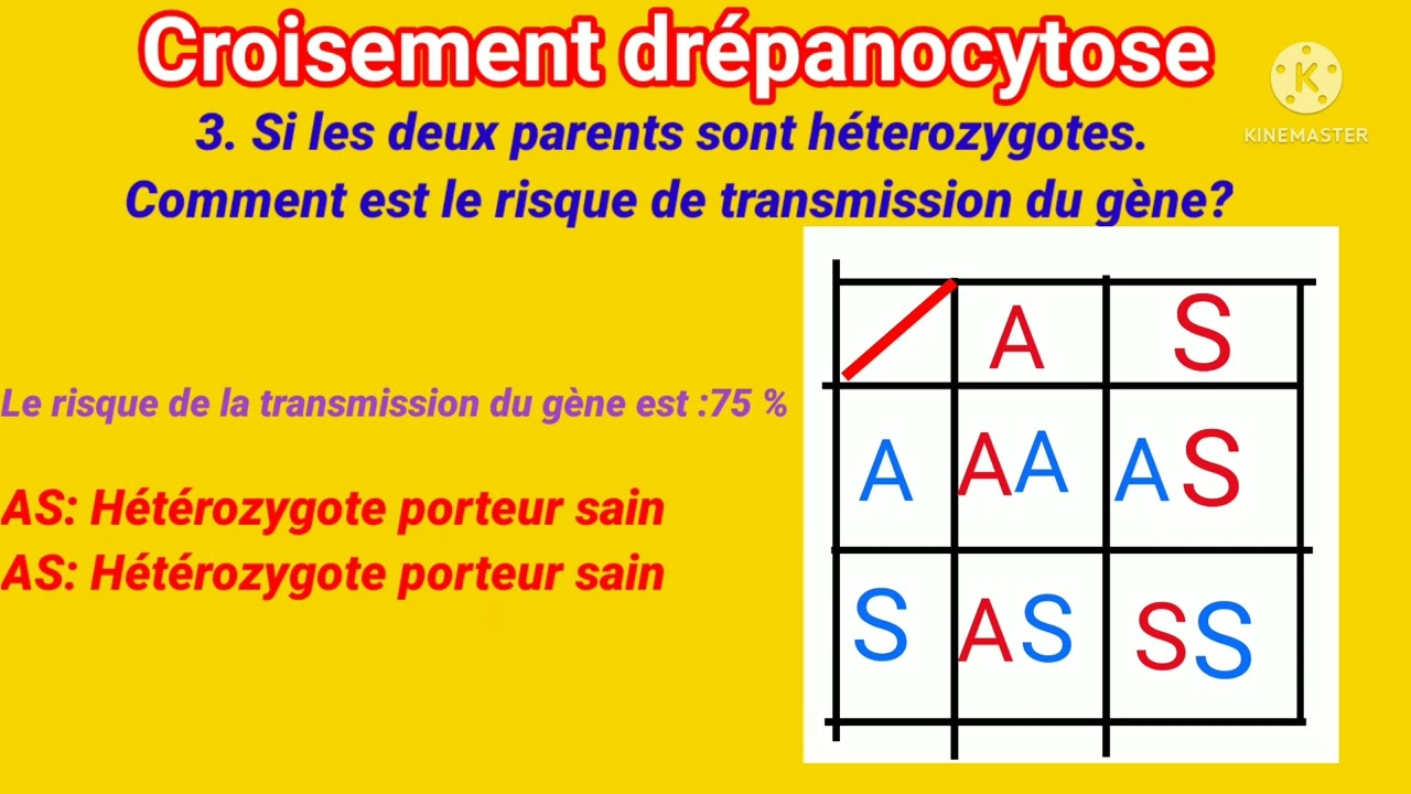 SES, SMP, SVT ( Croisement Drépanocytose) pa Al nan egzamen san nou pa gade yo.