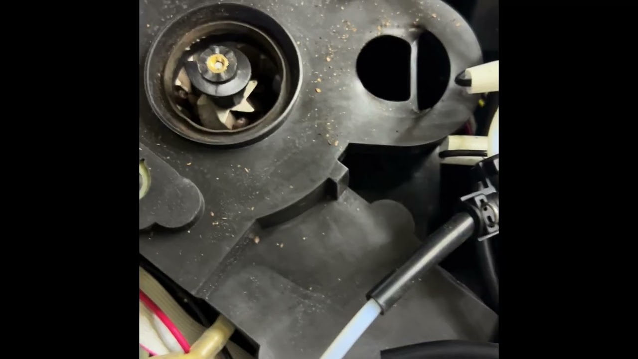 Terra Kaffe Fully Automatic. Espresso coffee machine grinder problem,how to fix it. ​@SmashK1Tennis
