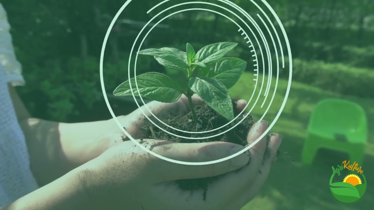 Farmers and Digital Technology