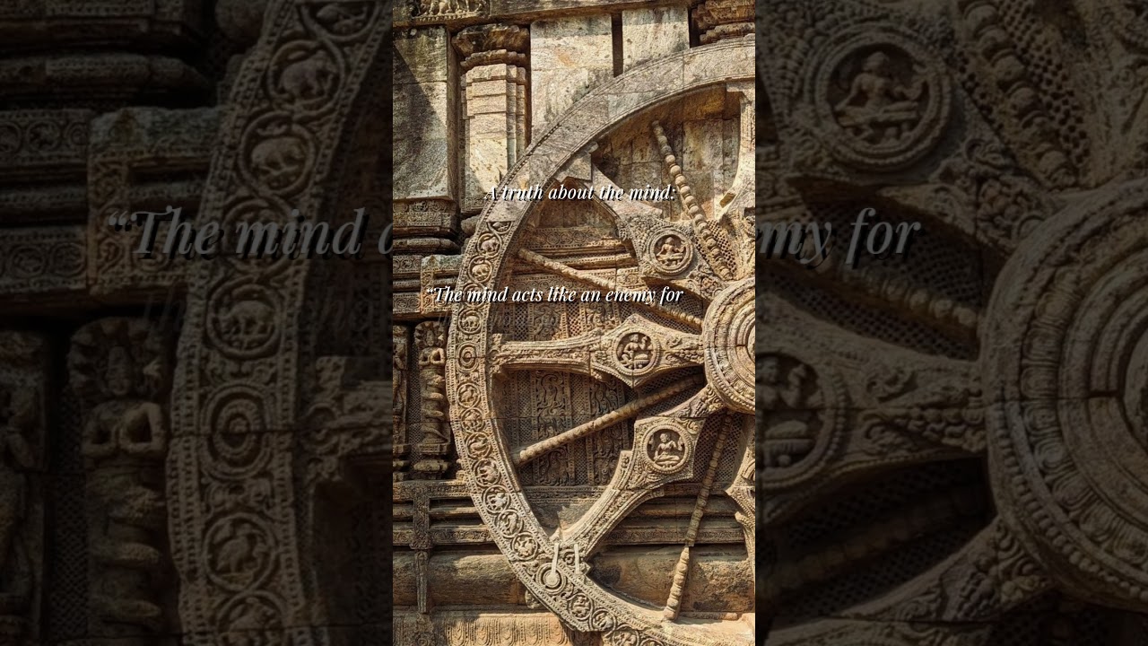 Untrained minds sabotage progress.