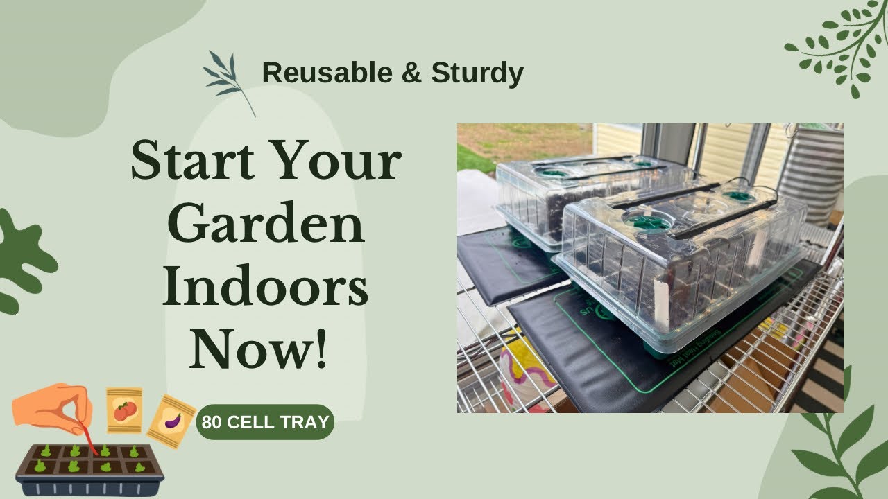 The Indoor Seed Starting Kit Every Gardener Needs 🌱