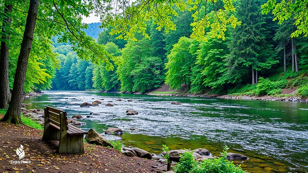 Soothing, relaxing music reduces stress and stops thinking too much