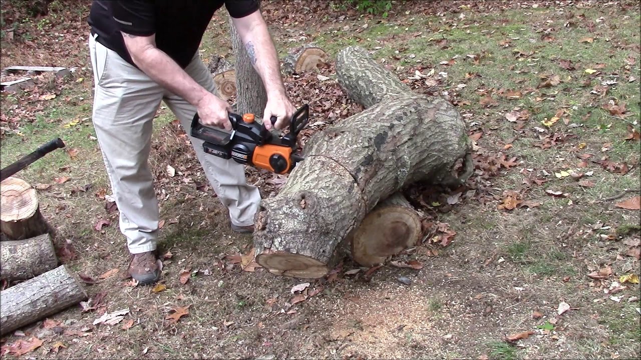 Worx Electric Chainsaw vs 12 Inches Of Oak