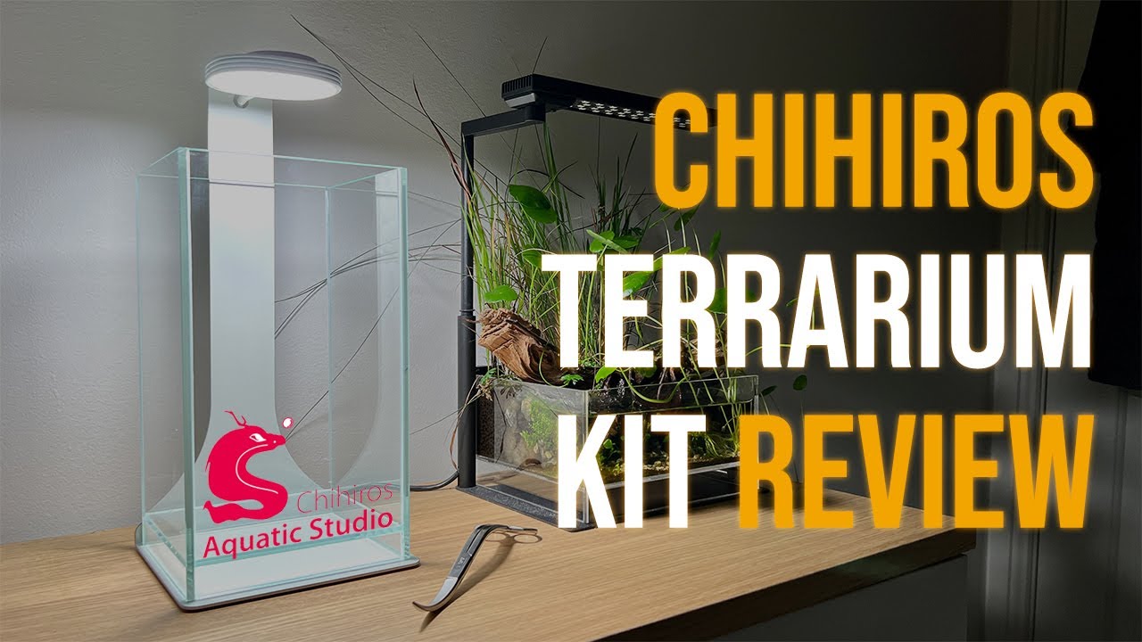 Обзор набора для террариума Chihiros