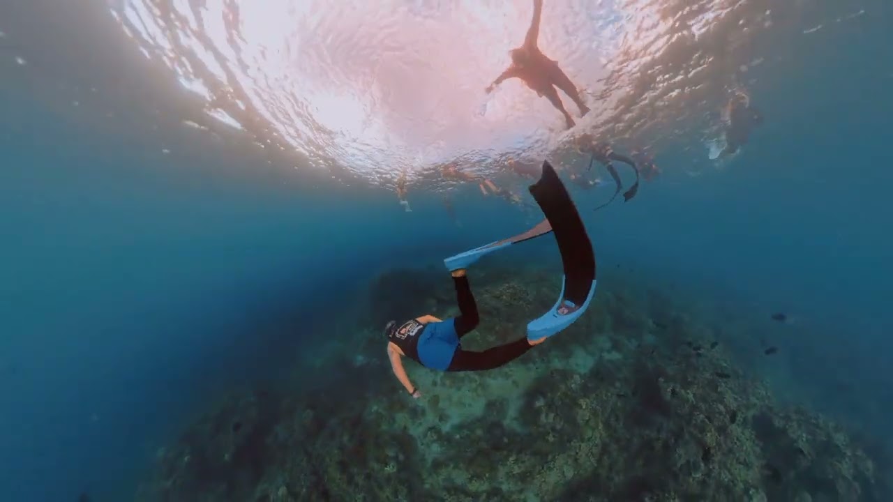 Our Post Valentines Date 2026 - Freediving @binukbokofficial