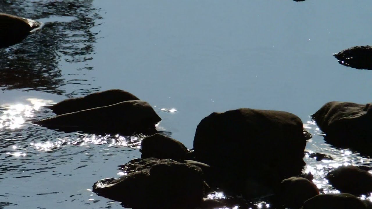 Widdale Beck at Widdale Foot