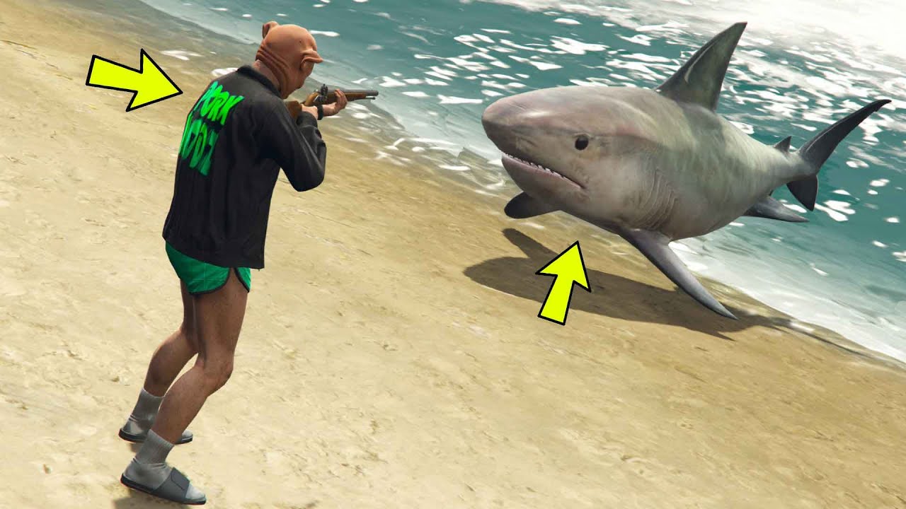 GTA 5 ONLINE 🐷 SHARK ATTACK VS HUMAN !!! 🐷LTS🐷 DAJE !!