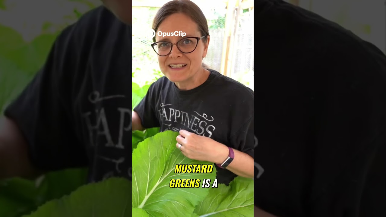 Grow Mustard Greens Fast  A Complete Guide