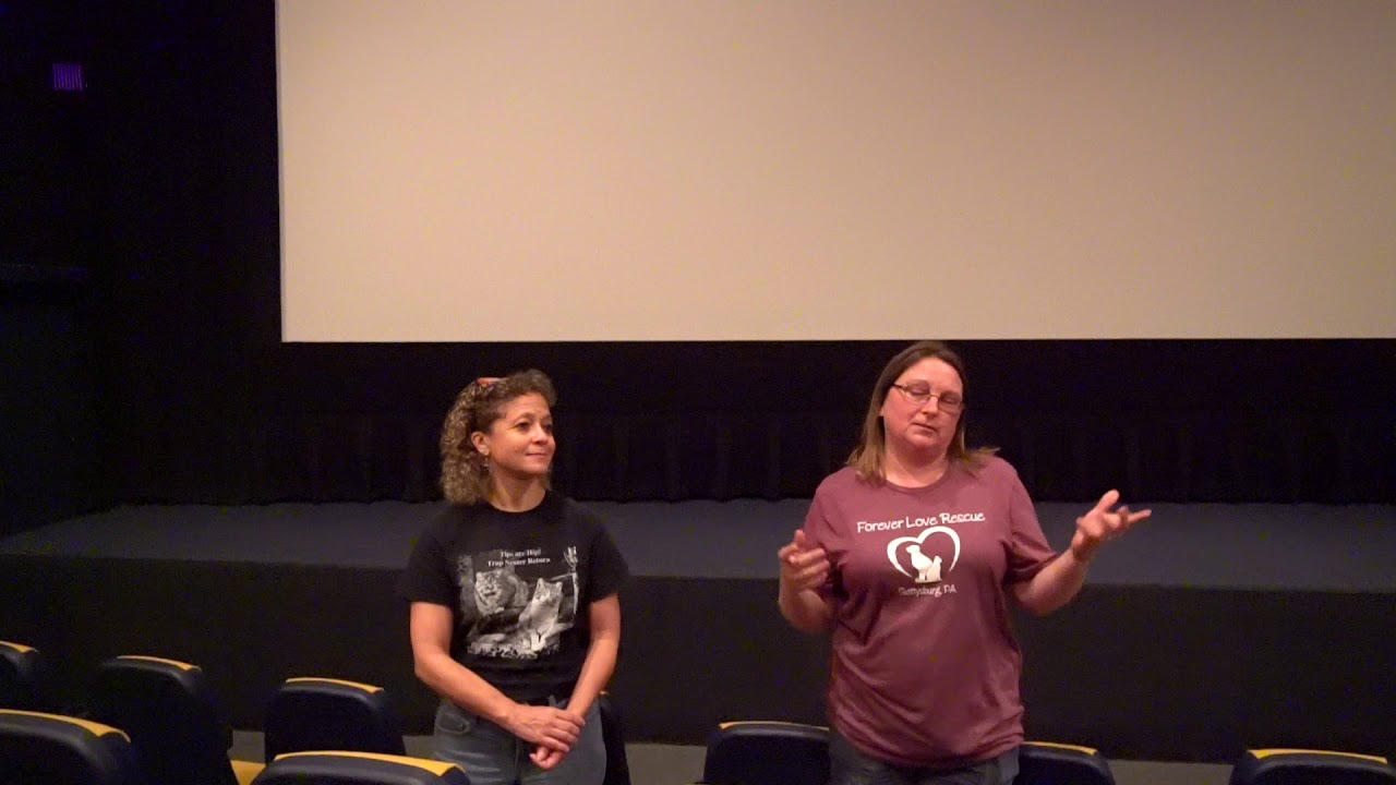 TNR Q&A with Forever Love Rescue and Adams County Community Cats July 2019