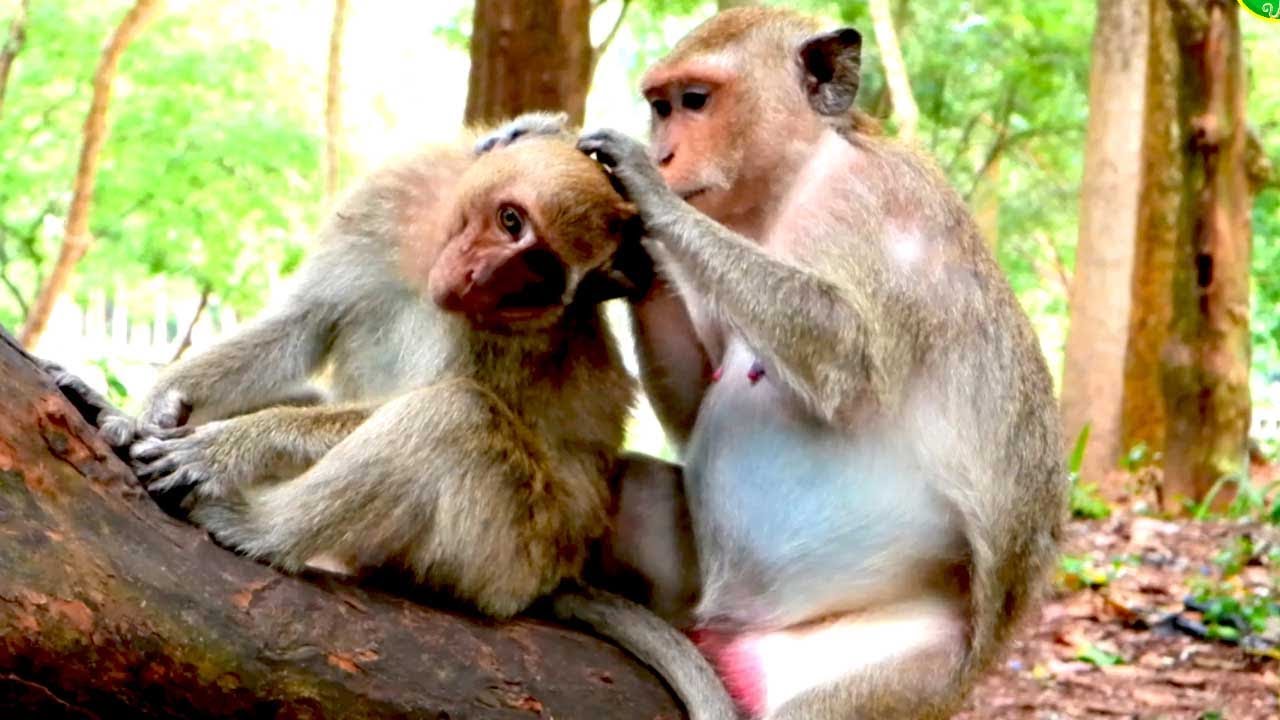 Caring Mom Dakuta Searches for Something Special for Her Baby