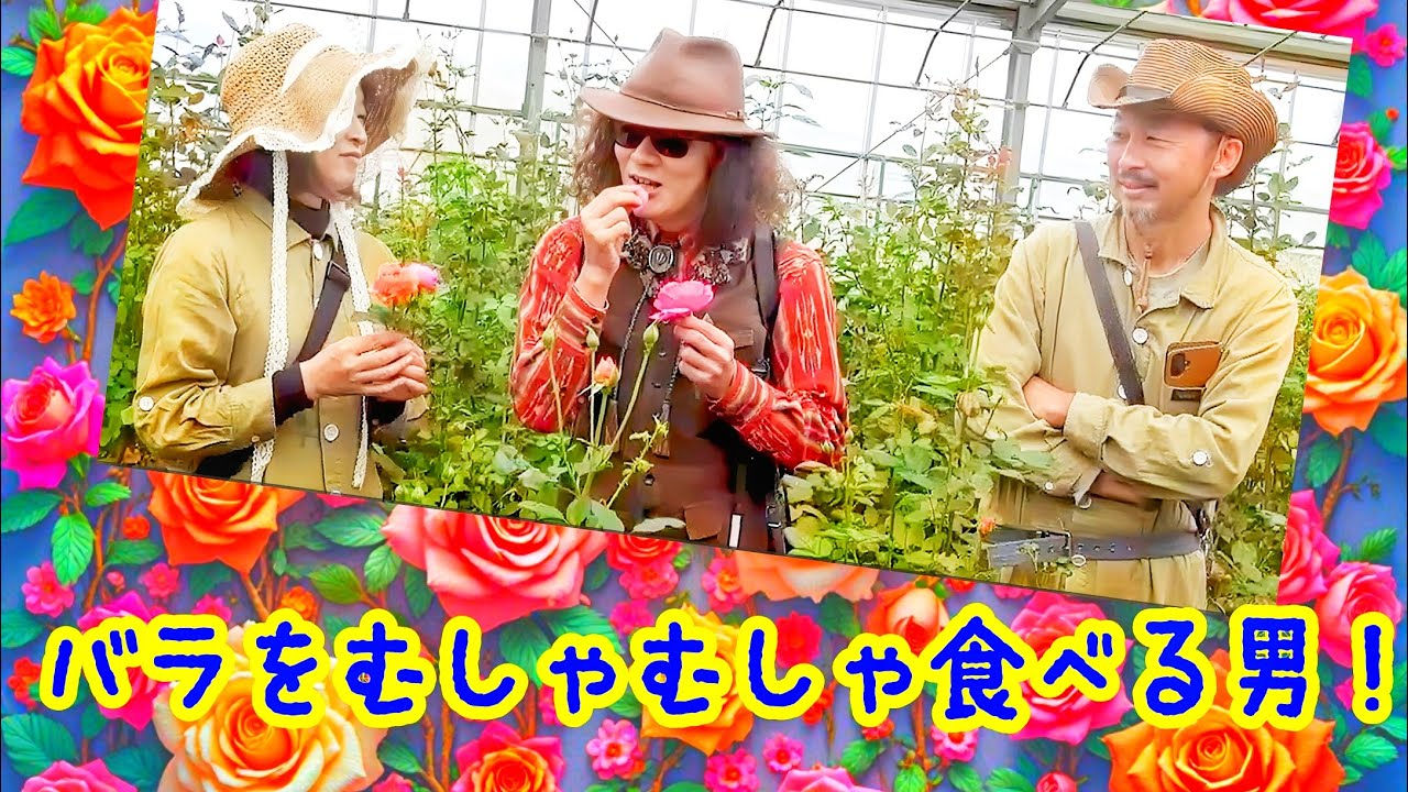 バラの食レポ！！なんとバラの食べ比べ？お料理にも、おつまみにも食用バラ♪みんなで行こう、きいろいおうちfarm！！ （神奈川県平塚市）