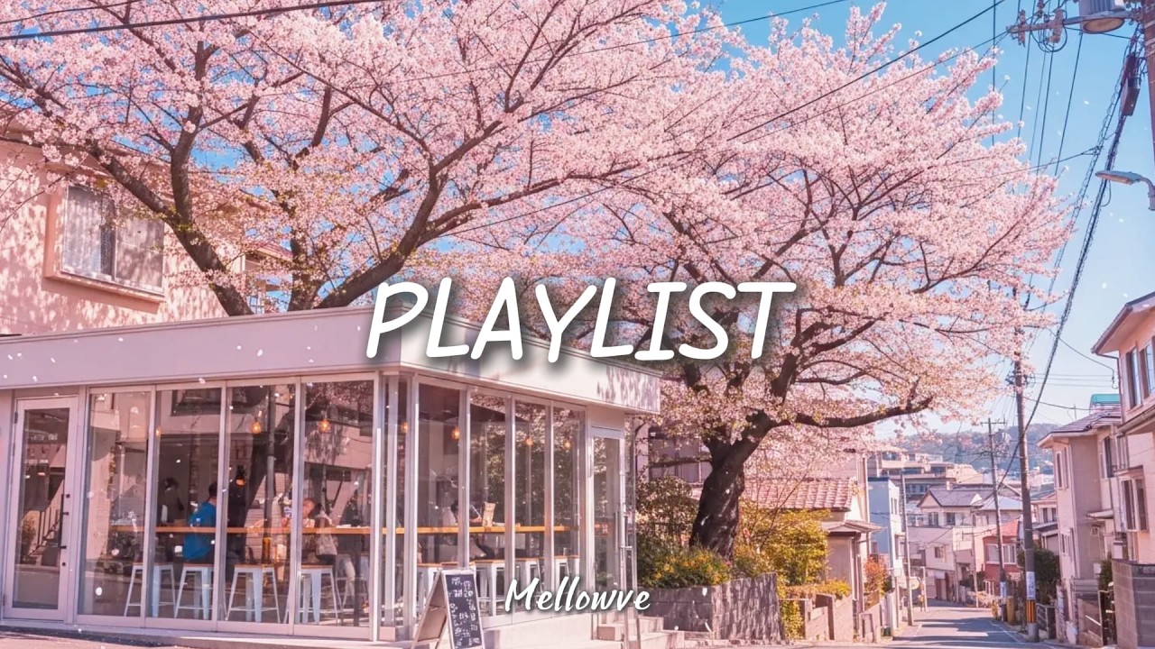 𝐏𝐥𝐚𝐲𝐥𝐢𝐬𝐭 🌸 벚꽃 흩날리는 봄날 듣는 음악 | 카페 감성 Pop & Groove 플레이리스트 | Spring Cafe Music