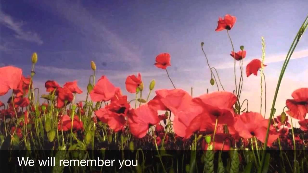 We Will Remember by Mike Stanley