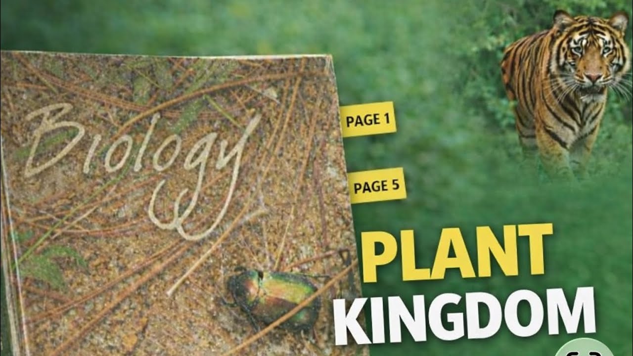 Chapter 3 plant kingdom 🌴 Topic - Bryophytes