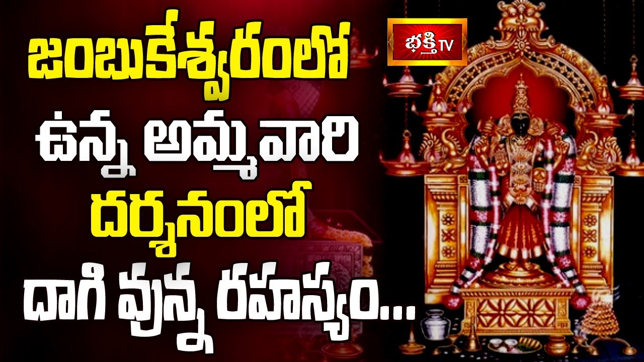 జంబుకేశ్వరంలో ఉన్న అమ్మవారి దర్శనం లో దాగి ఉన్న రహస్యం || Chaganti Koteswara Rao || Episode 24