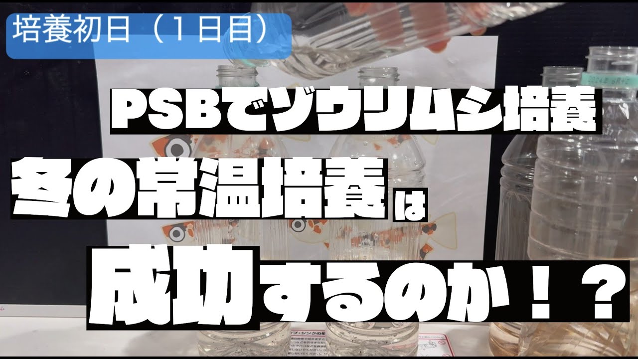 冬でもゾウリムシを増やしたい！PSBで常温培養