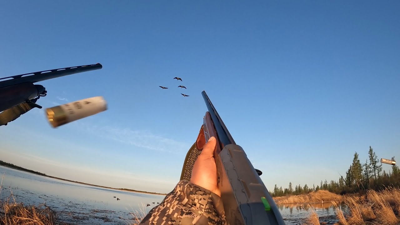 Beretta outlander A300 & Fabarm XLR 5 на охоте на Колыме.