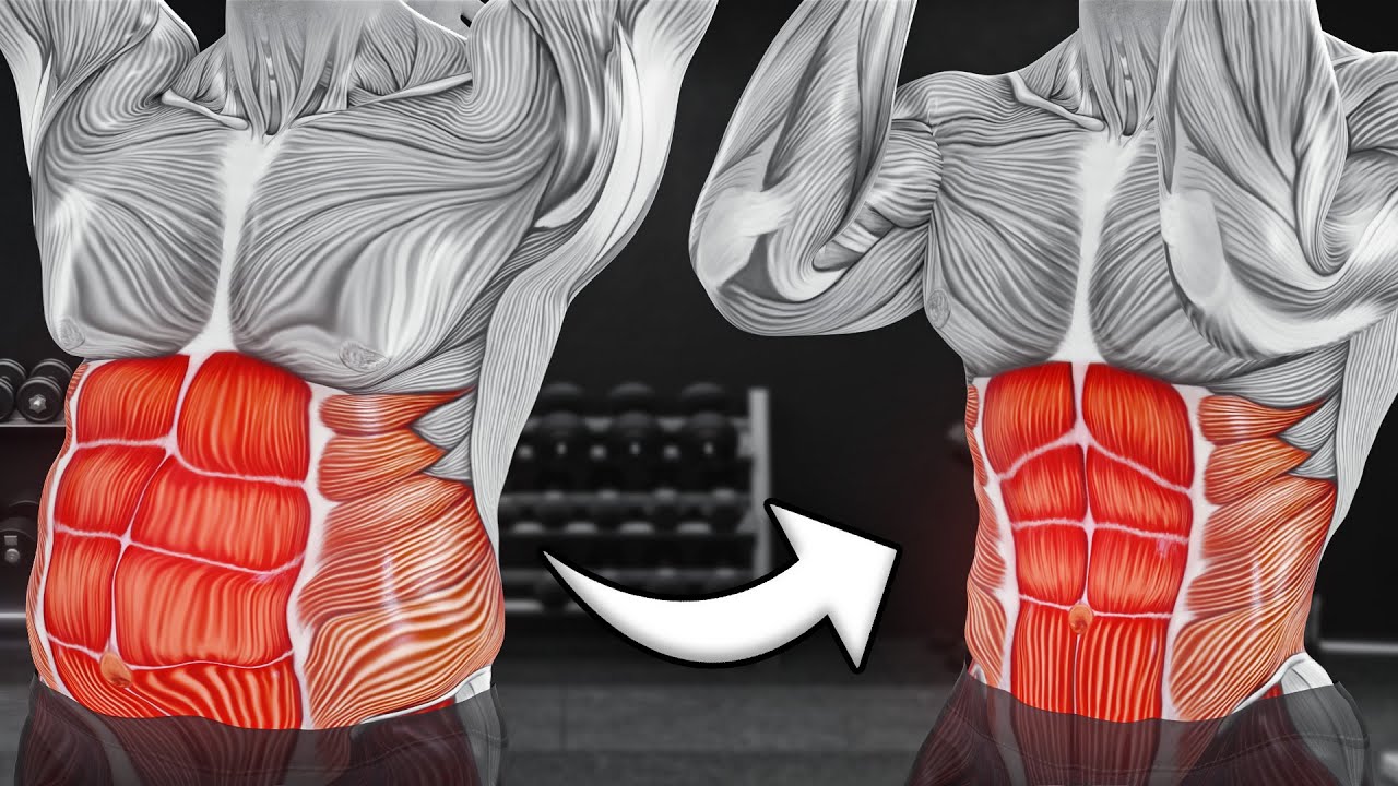 Best Ab Exercises in 10 Minutes For Men