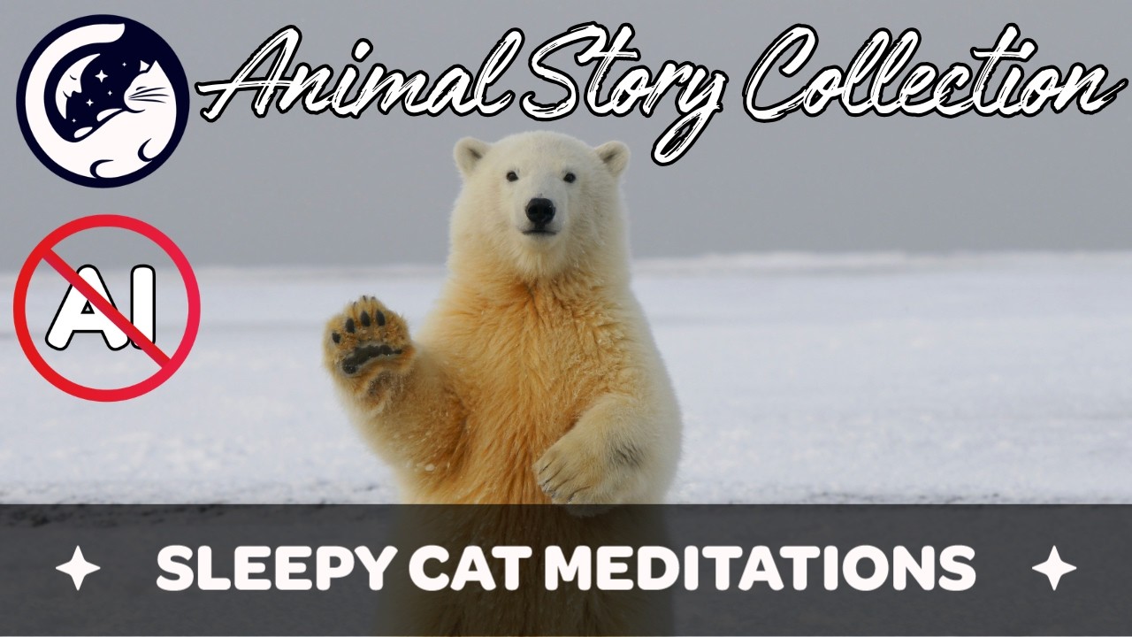 Bedtime Story Collection With Animals (8 HOURS ALL NIGHT STORYTELLING)