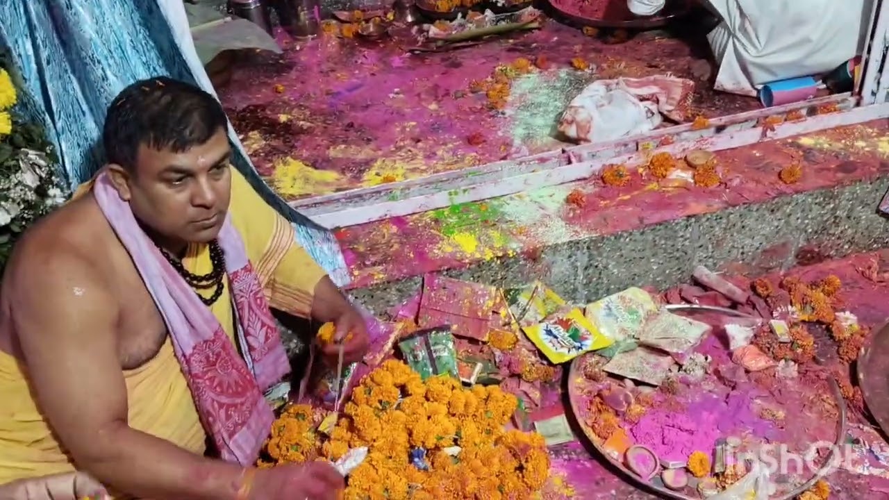 Dol govinda holi sou ahouk 🫟