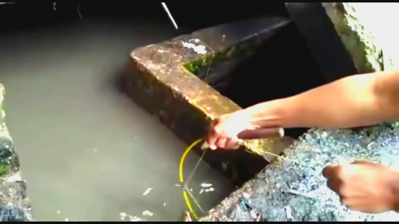 Mancing Di Selokan Dapat Ikan Lele Monster