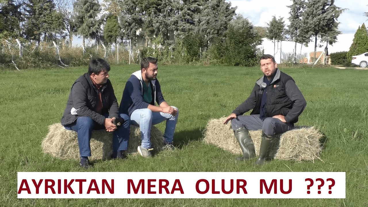 YIL BOYU YEM YEŞİL MERA  (Bu Mera Başka Mera )