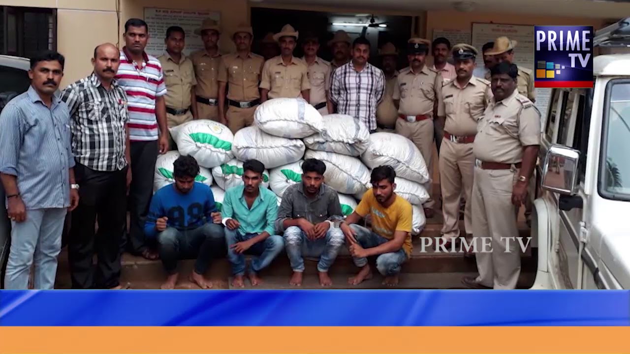 Drugs accused arrest news