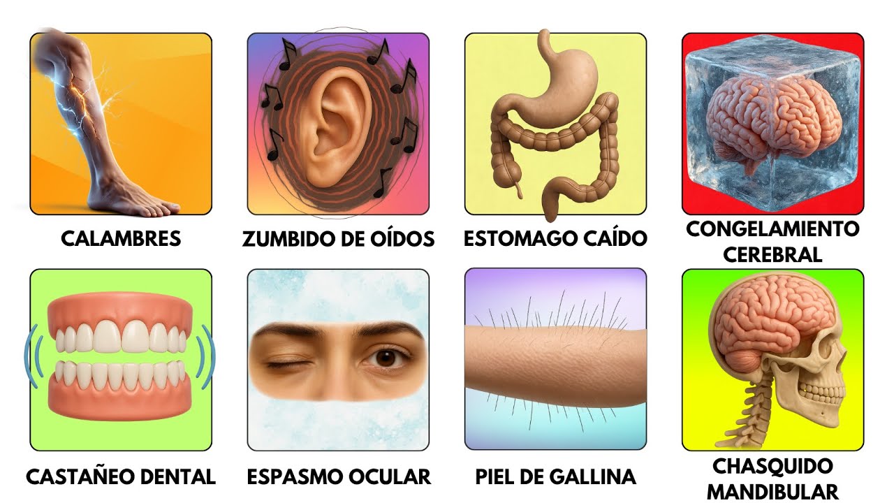 15 FALLOS que tiene tu CUERPO y no sabías por qué