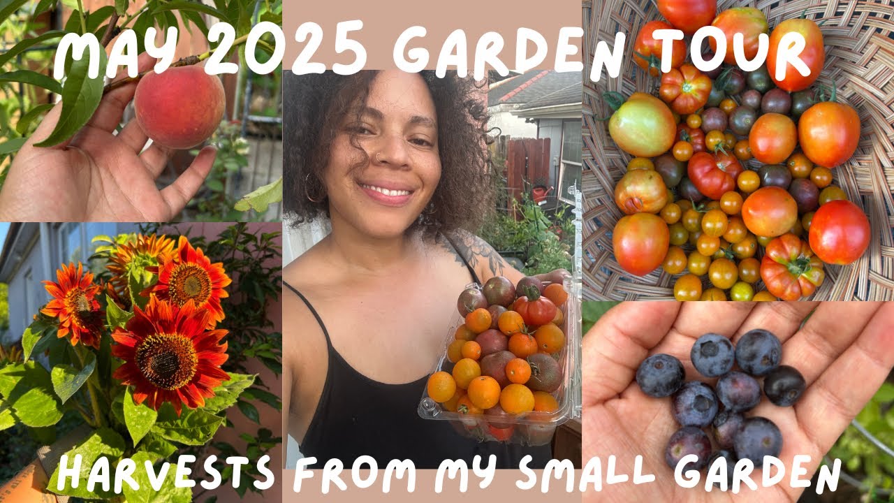 May 2025 Garden Tour| My Small Urban Garden