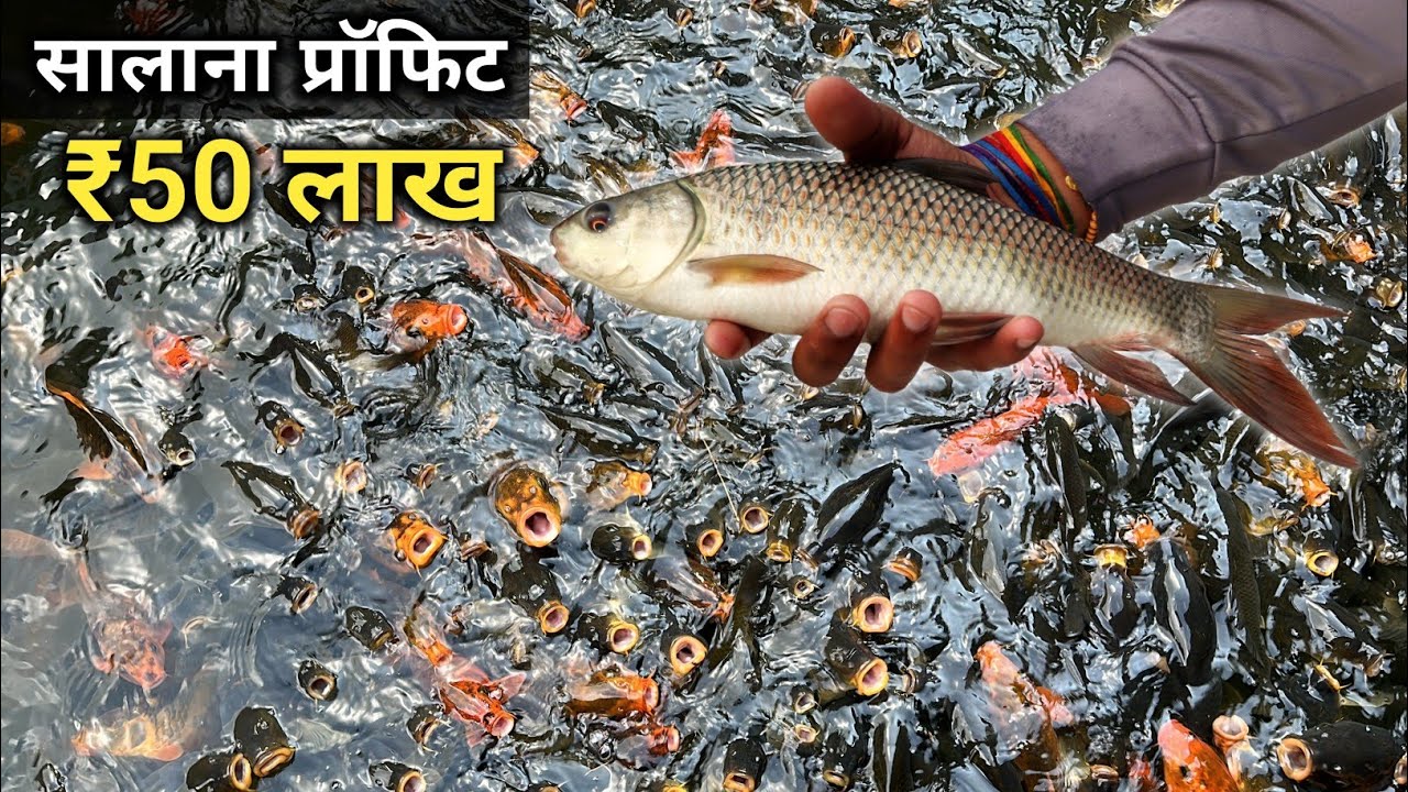 30 लाख सालाना की नौकरी छोड़ गांव में शुरू किया मछली पालन | Fish Farming | Fish Farming Business Plan
