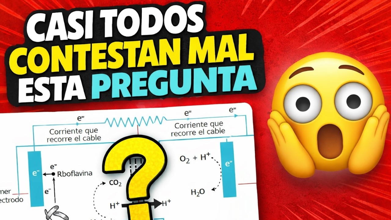 Cómo responder preguntas Icfes de Física fácilmente