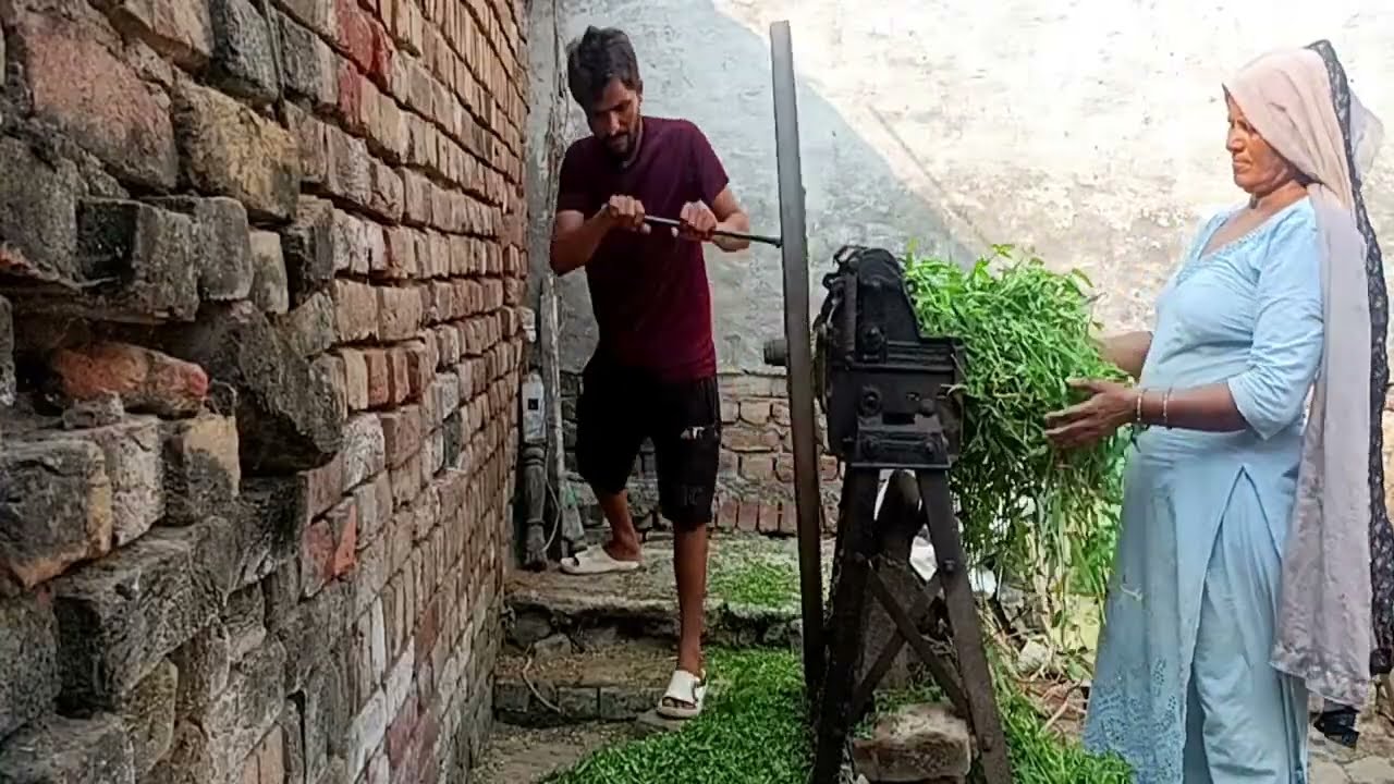 👉 Live Chara Cutting for Buffalo | Desi Hand Machine Se Bhains Ka Chara | Village Life Vlog