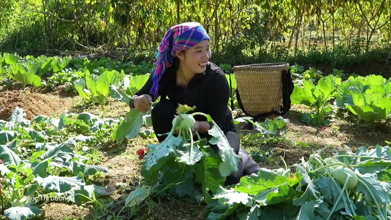 Harvesting Kohlrabi from the Garden with My Kids – Selling at the Market and Buying Warm Clothes