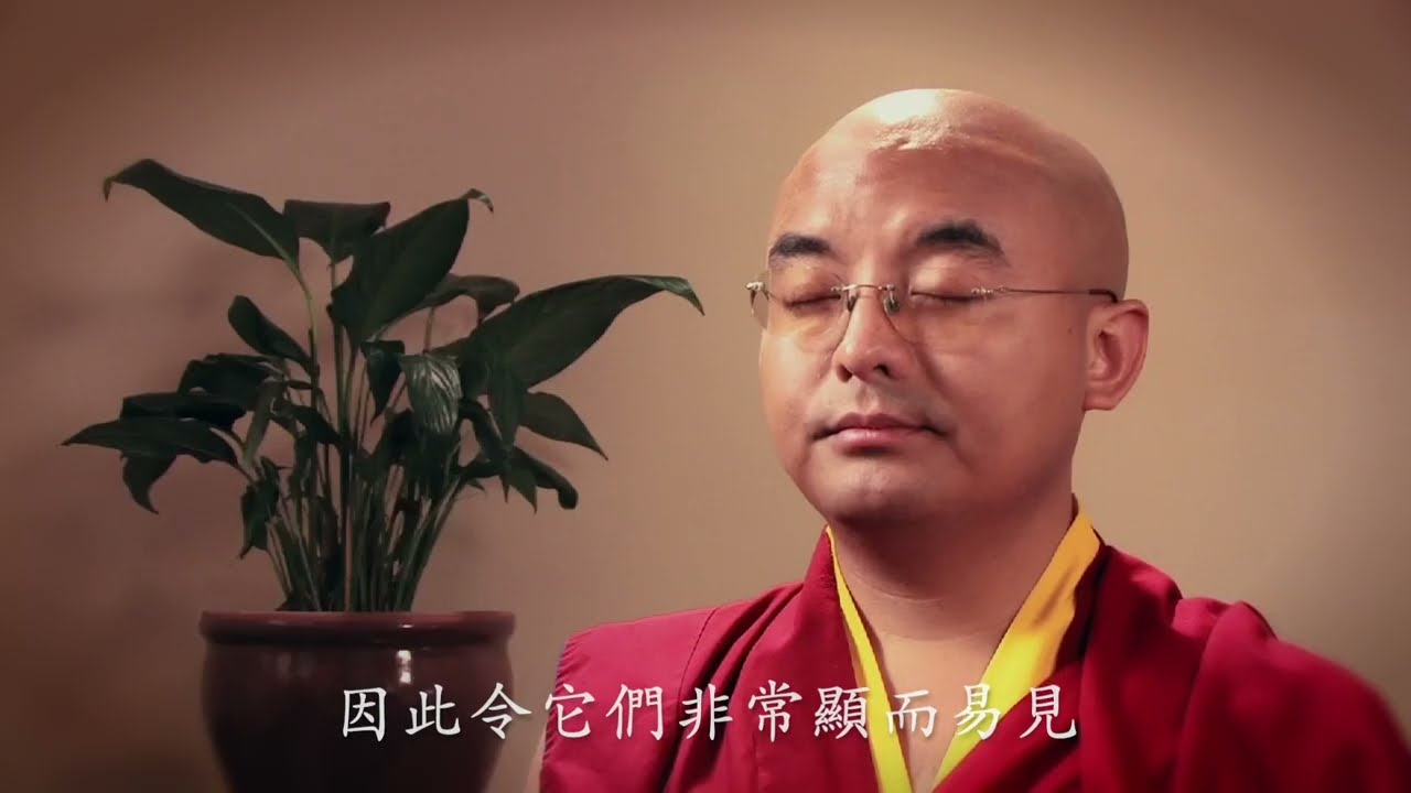 明就仁波切引起科學界轟動的實驗紀錄片