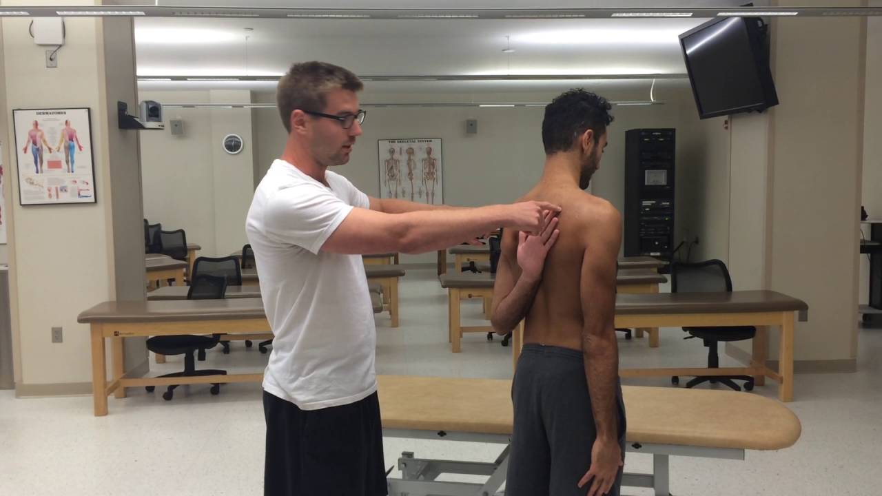 Aply's Scratch Test