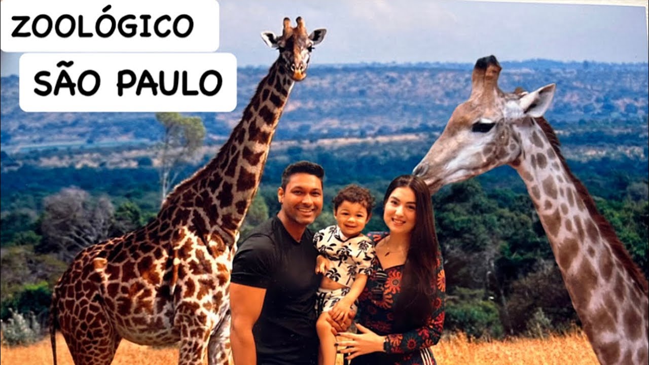 ZOOLÓGICO DE SÃO PAULO 2025 🦁🐅🦒🐒🐧🦆 e muito mais